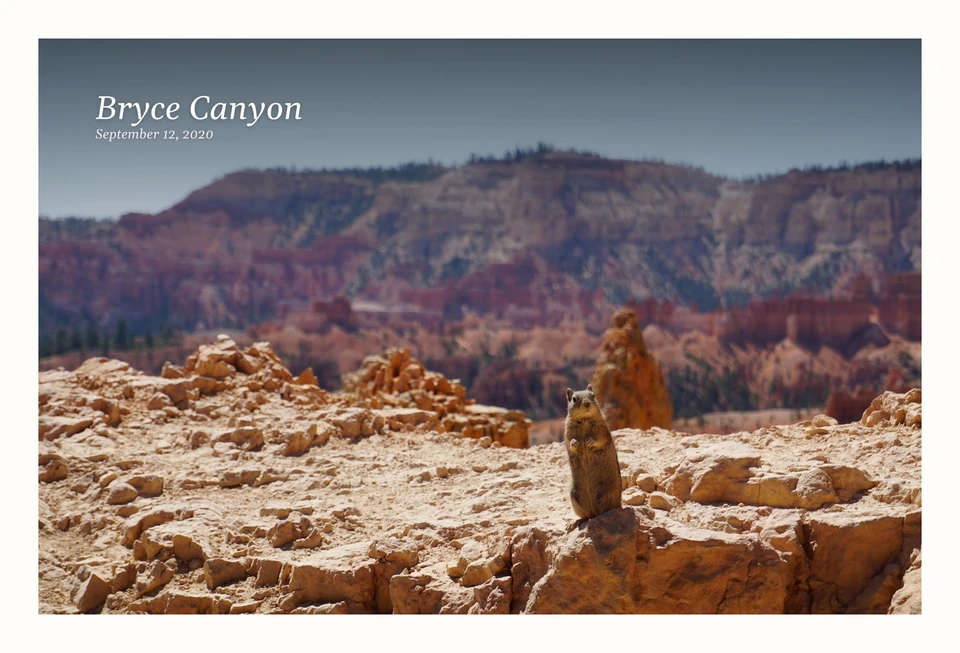 A photograph of a squirrel standing on sunlit rocks above a red canyon. Bryce Canyon, September 12, 2020.